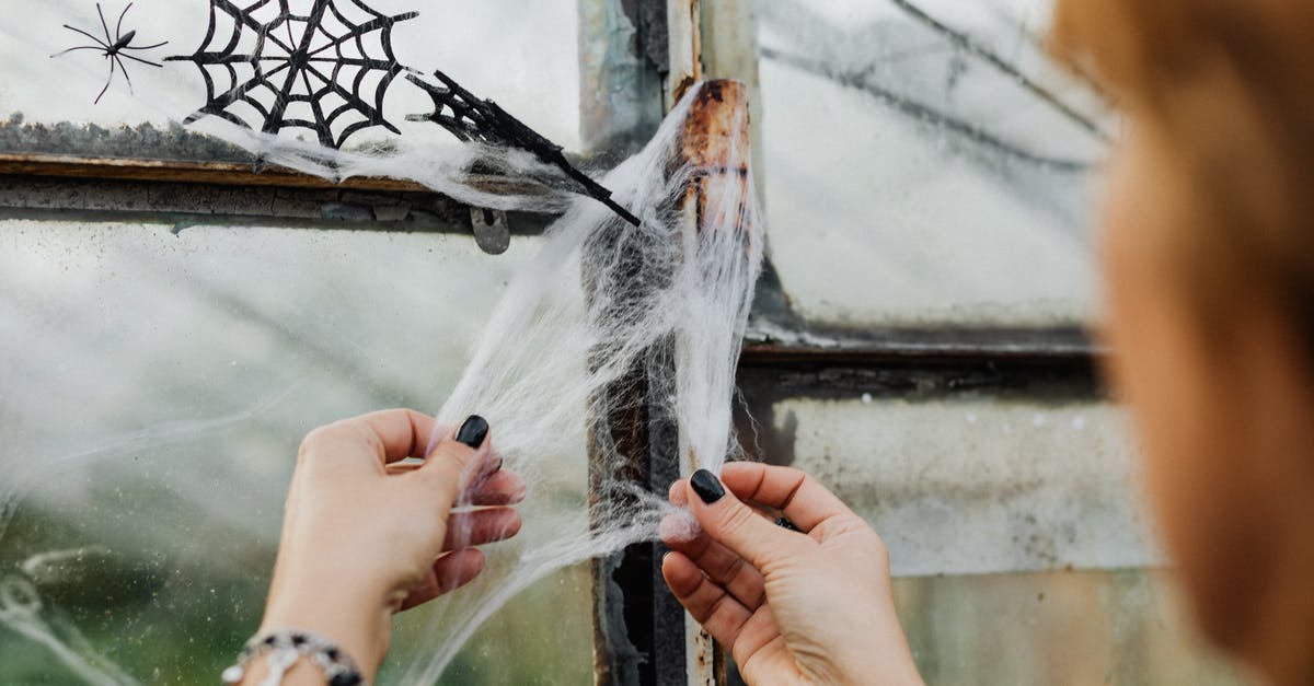 What is a typical room cleaning tip in Montreal? - Person Holding White Powder in Front of Window What is a typical room cleaning tip in Montreal? - Person Holding White Powder in Front of Window