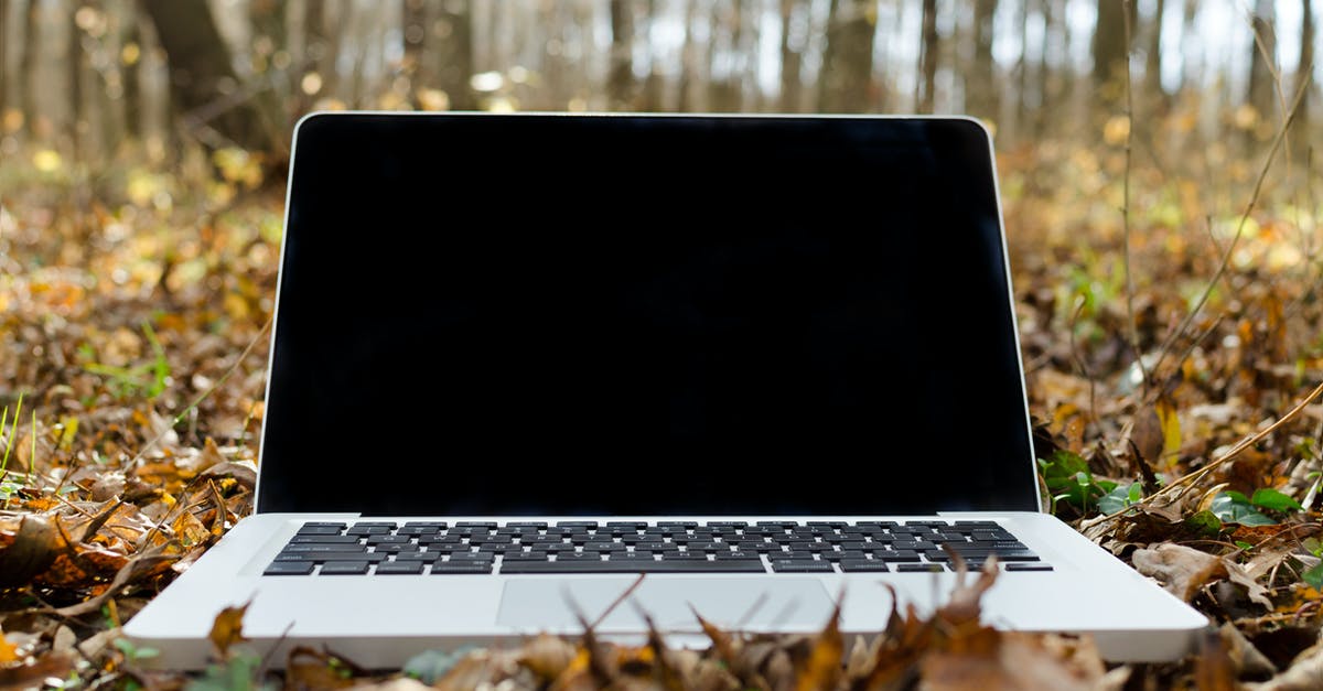 What is open on All Saints Day (1 November) in Hungary? - Silver Macbook Pro With Black Screen on Withered Leaves What is open on All Saints Day (1 November) in Hungary? - Silver Macbook Pro With Black Screen on Withered Leaves