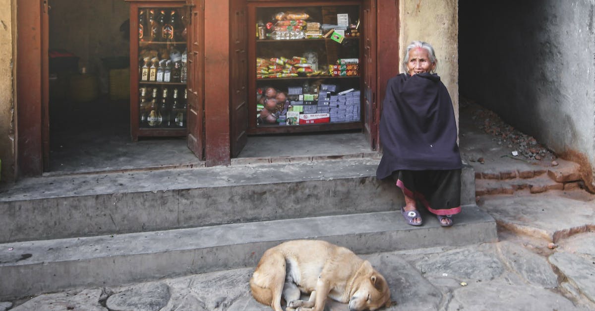 What is the best town in La Alpujarra (Granada, Spain) to sleep there? - Senior Indian woman on stairs near sleeping dog on street What is the best town in La Alpujarra (Granada, Spain) to sleep there? - Senior Indian woman on stairs near sleeping dog on street