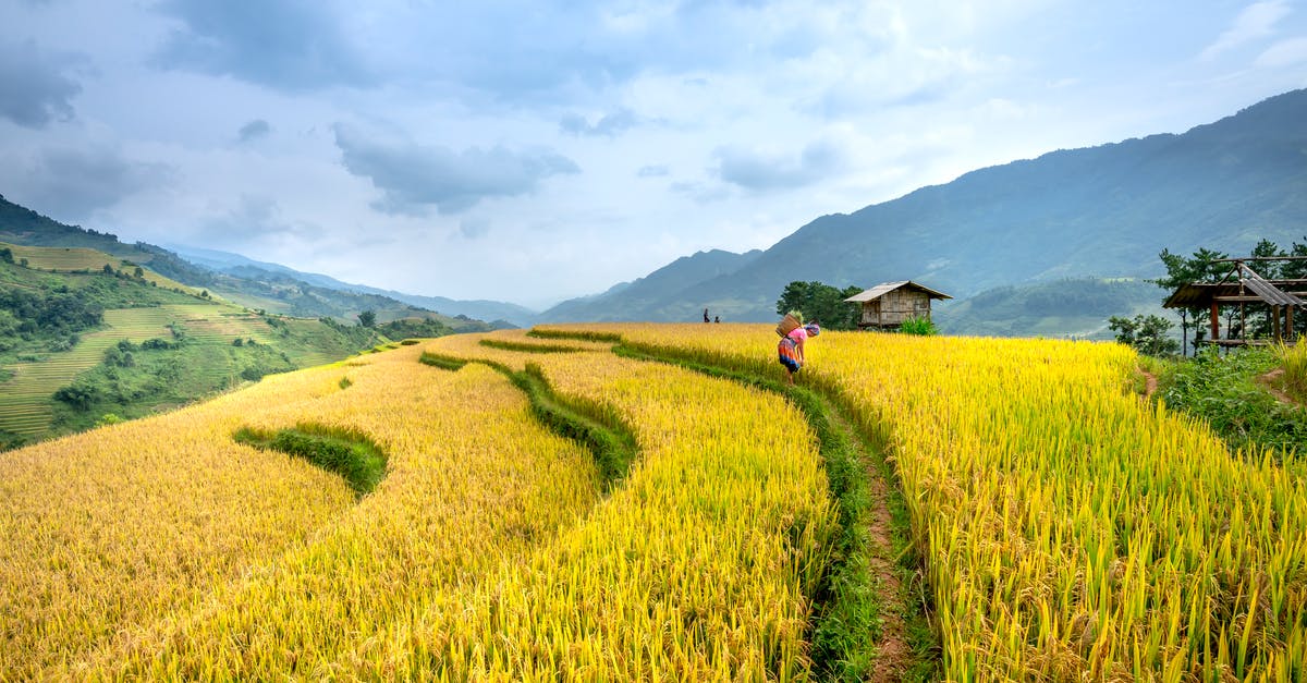 What is the best way to pick up packages in Northern India? - Unrecognizable worker on grassy agricultural field What is the best way to pick up packages in Northern India? - Unrecognizable worker on grassy agricultural field