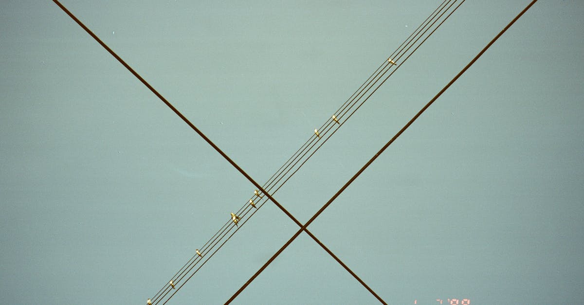 What is the current status of airside connections at LAX? - Flock of Birds perched on Power Lines What is the current status of airside connections at LAX? - Flock of Birds perched on Power Lines