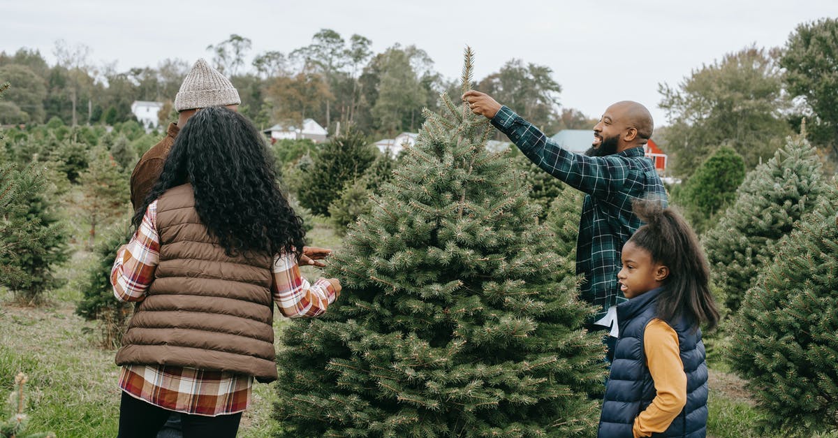 What is the difference between dependant and dependent family member - African American family making New Year preparation and choosing Christmas tree on farm with different spruces What is the difference between dependant and dependent family member - African American family making New Year preparation and choosing Christmas tree on farm with different spruces