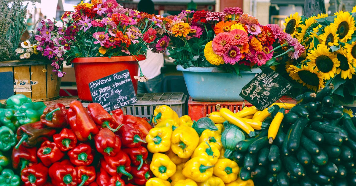 What is the difference between various flight search sites' price forecasts? - Assorted fresh pepper and cucumbers at counter with fresh gerberas and sunflowers selling at bazaar