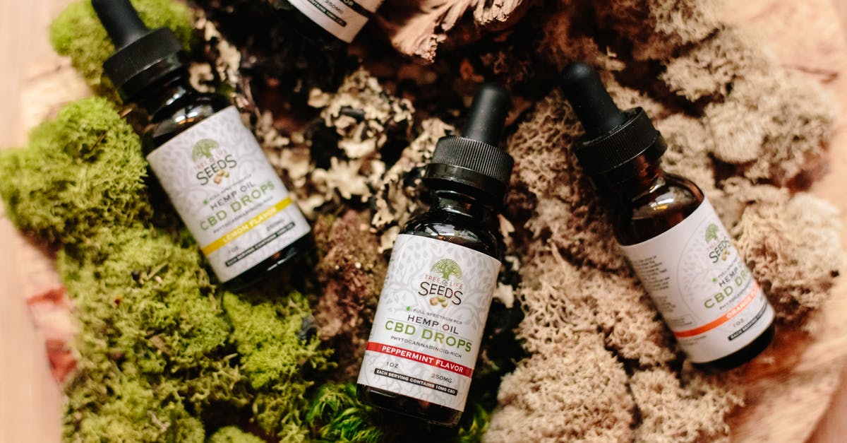 What is the law on CBD oil brought into Mexico from Canadian visitors? - Bottles on Green and Brown Moss What is the law on CBD oil brought into Mexico from Canadian visitors? - Bottles on Green and Brown Moss