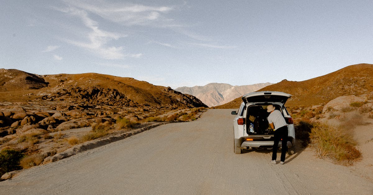 What is the longest distance by car ferry? - Person Standing Behind Vehicle What is the longest distance by car ferry? - Person Standing Behind Vehicle