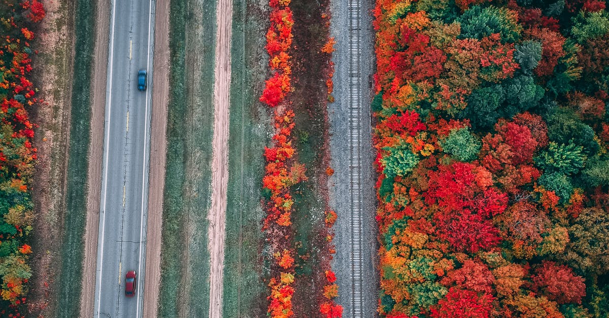 What is the most remote railway line in the world? - Magnificent landscape of autumn forest near highway What is the most remote railway line in the world? - Magnificent landscape of autumn forest near highway