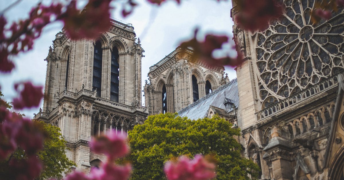 What is the situation like in Paris in late December 2019? - Low-Angle Photo of Notre Dame What is the situation like in Paris in late December 2019? - Low-Angle Photo of Notre Dame