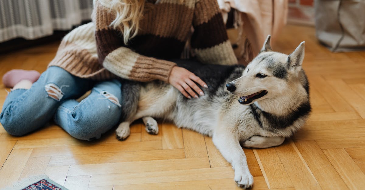What is the source of pet weight limits in aircraft (and beyond)? - White and Black Siberian Husky Lying on Floor What is the source of pet weight limits in aircraft (and beyond)? - White and Black Siberian Husky Lying on Floor