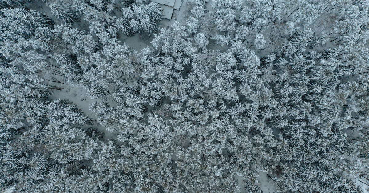 What is the weather usually like in November in Palawan, Philippines? - Free stock photo of abstract, bird eye, christmas What is the weather usually like in November in Palawan, Philippines? - Free stock photo of abstract, bird eye, christmas