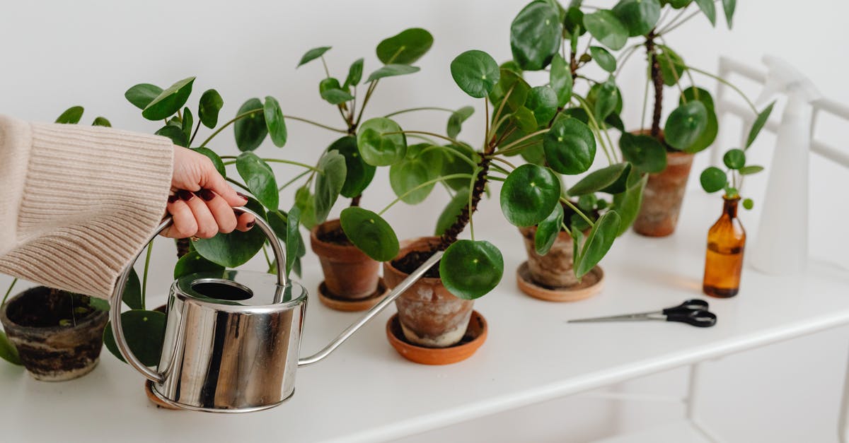 What kind of nail scissors have a good chance of being allowed in hand (carry-on) luggage in the EU? - Woman Watering Plants on White Table
