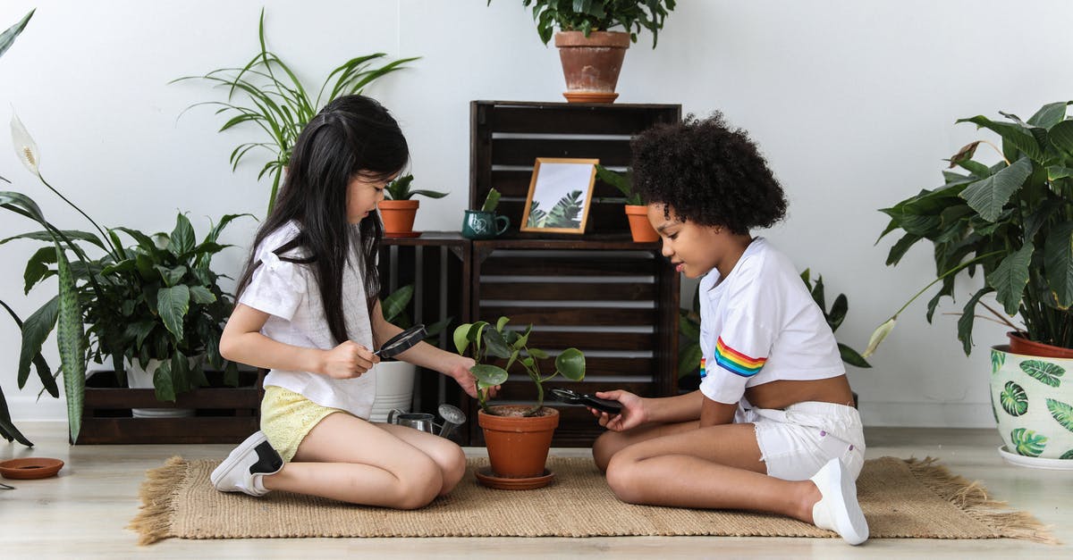 What kind of things can you take from a hotel? - Side view of multiethnic kind girls with magnifier and pruning shear growing green potted plant while sitting on carpet in modern room What kind of things can you take from a hotel? - Side view of multiethnic kind girls with magnifier and pruning shear growing green potted plant while sitting on carpet in modern room