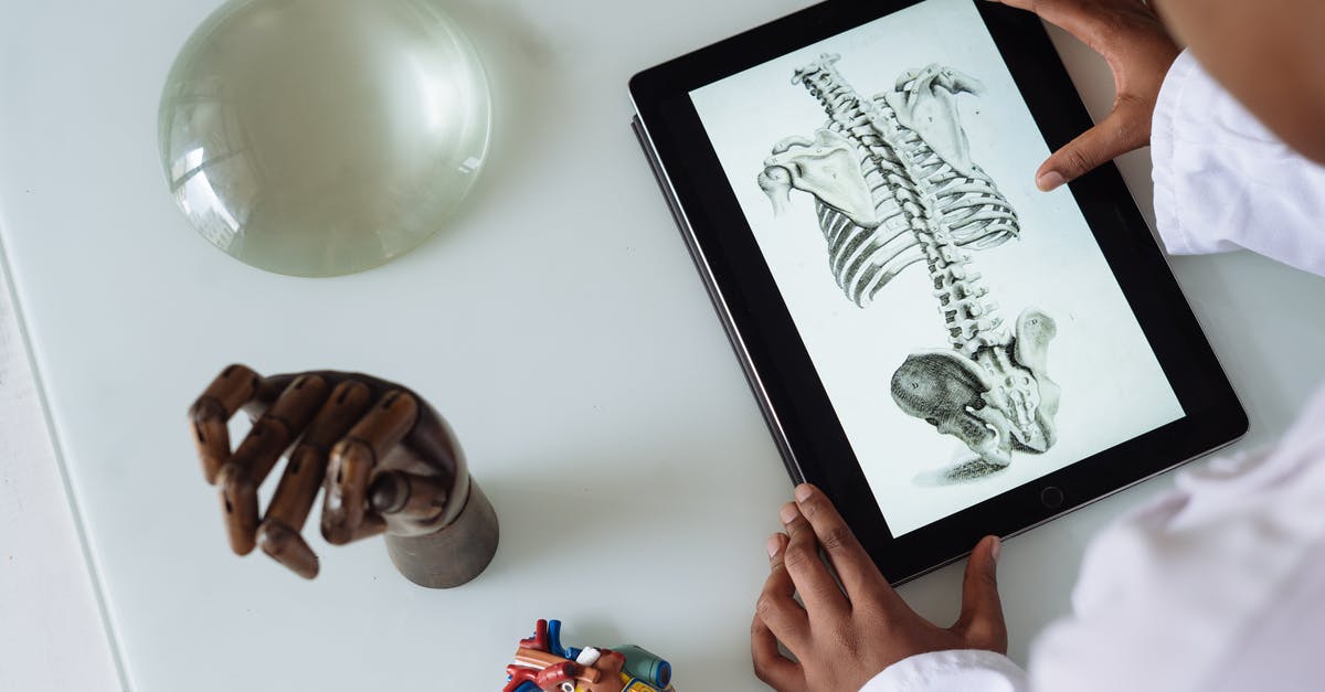 What organizations give computer science PhD students travel grants? - Unrecognizable African American scientist studying anatomy with tablet What organizations give computer science PhD students travel grants? - Unrecognizable African American scientist studying anatomy with tablet