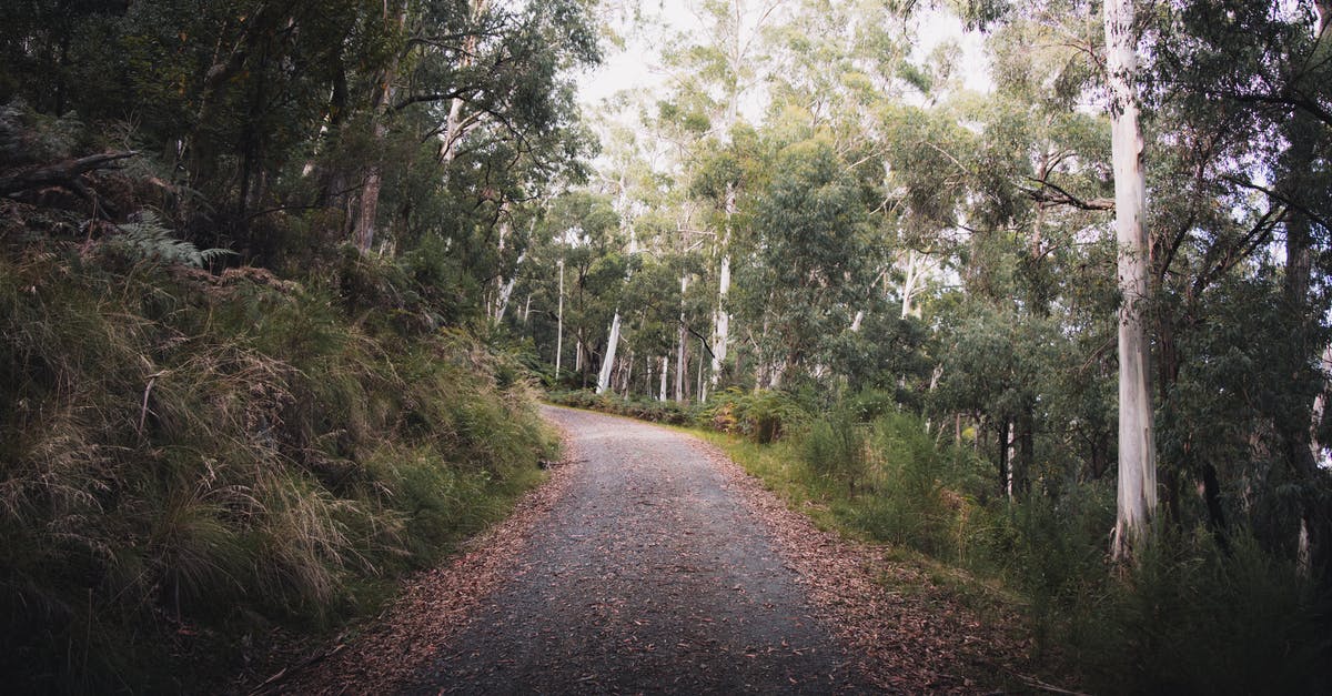 What path do flights across Australia take? - Gray Road Between Green Trees What path do flights across Australia take? - Gray Road Between Green Trees