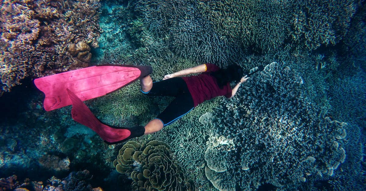 What places offer both good scuba diving and surfing? - Woman in Body of Water