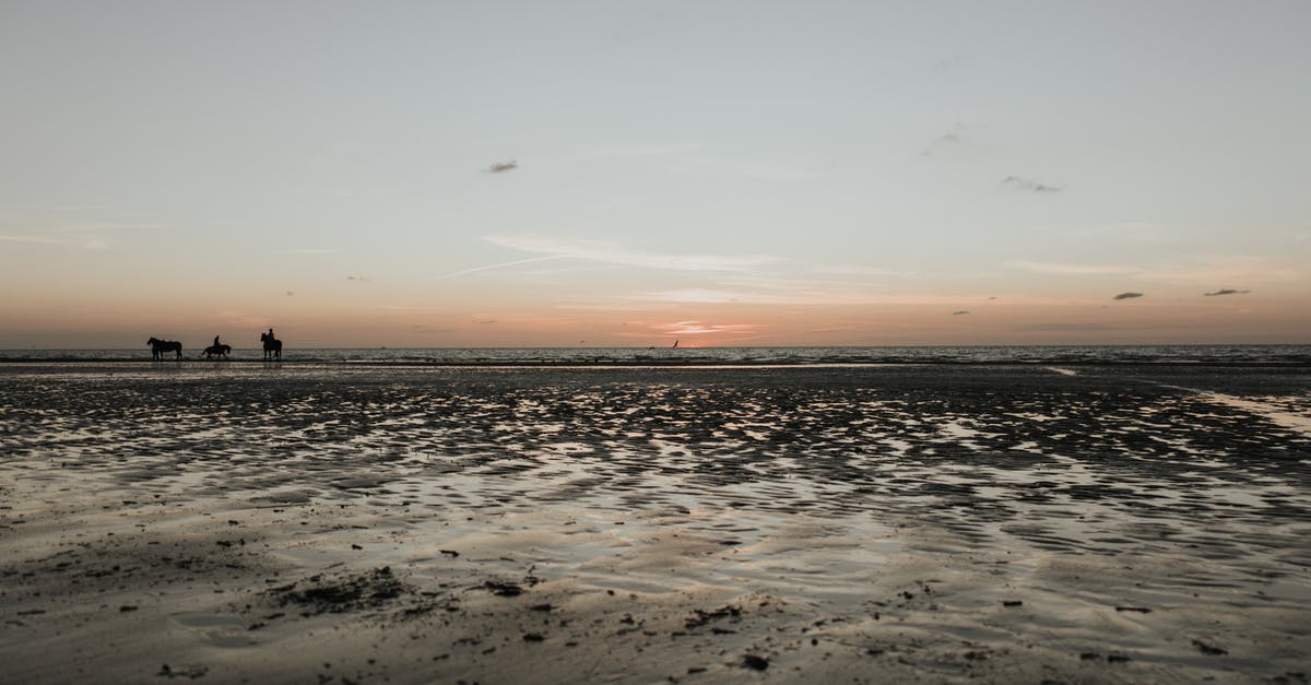 What proof of negative test do I need before travelling to Belgium from UK? - People Walking on Beach during Sunset What proof of negative test do I need before travelling to Belgium from UK? - People Walking on Beach during Sunset