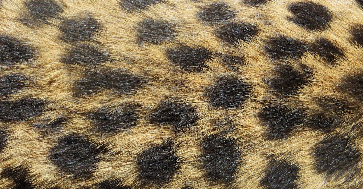 What (semi-)official hitchhiking spots exist in The Netherlands? - Brown and Black Textile What (semi-)official hitchhiking spots exist in The Netherlands? - Brown and Black Textile