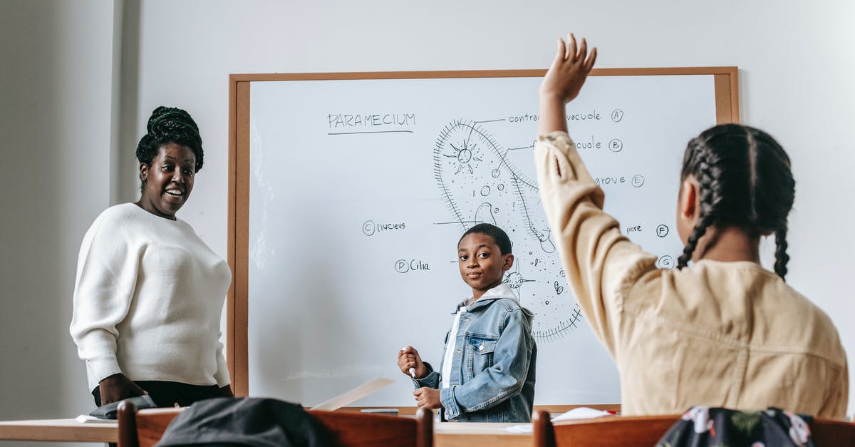 What should I answer in "Do you have other incomes or savings? [duplicate] - Ethnic girl raising hand while African American female teacher standing near whiteboard with teen boy and explaining task
