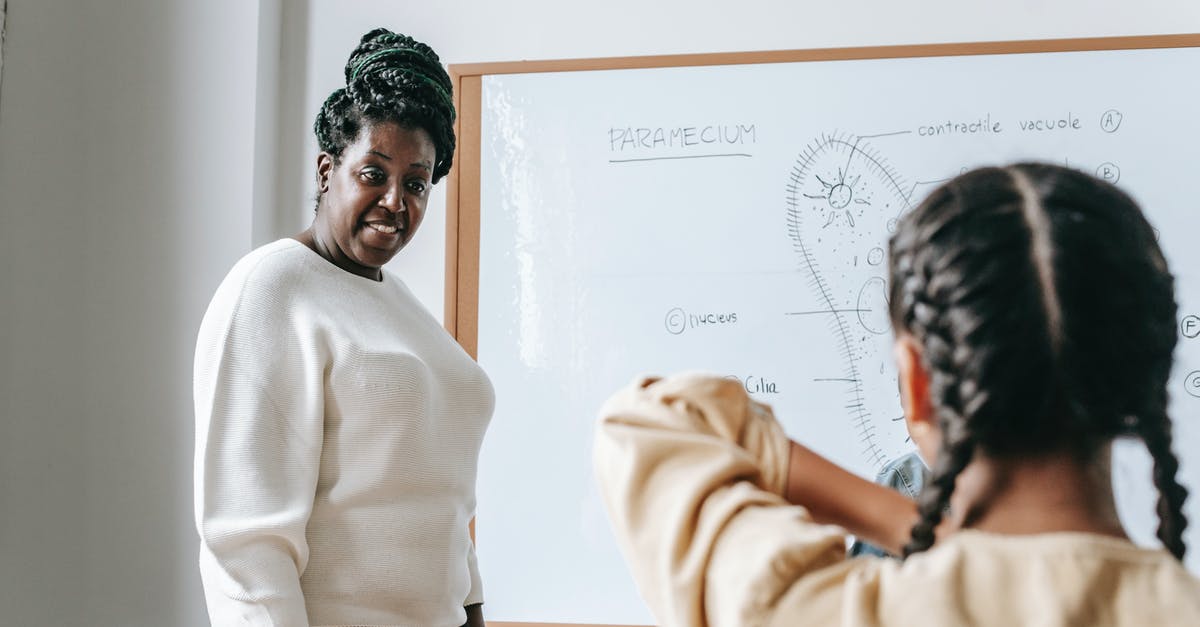 What should I answer in "Do you have other incomes or savings? [duplicate] - Attentive African American woman standing near whiteboard while explaining scheme to schoolgirl during lesson