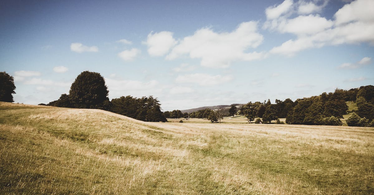 What should I put in the 'savings' field on a UK visa application? - Green Grass Field What should I put in the 'savings' field on a UK visa application? - Green Grass Field