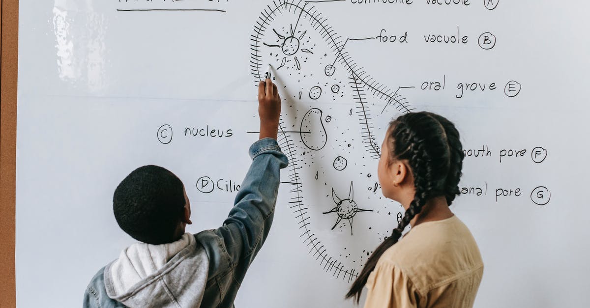 What should I think of and prepare when flying with kids? - Back view of anonymous multiracial children drawing scheme of Infusoria organism on whiteboard in classroom What should I think of and prepare when flying with kids? - Back view of anonymous multiracial children drawing scheme of Infusoria organism on whiteboard in classroom