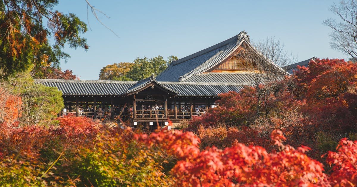 What sightseeing options are amenable for taking a 2 year old on a one day layover in Paris? [closed] - Exterior of ancient Tofukuji Temple located in Kyoto surrounded with trees with red and green leaves under blue cloudless sky in sunny day in fall