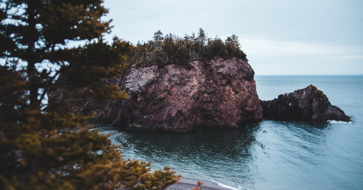 What techniques exist for increasing the chances of getting to a destination during widespread disruption? - Spectacular scenery of rocky formation in ocean with trees on peak and empty beach surrounded by evergreen forest located in Chance Cove coastal town on cloudy day What techniques exist for increasing the chances of getting to a destination during widespread disruption? - Spectacular scenery of rocky formation in ocean with trees on peak and empty beach surrounded by evergreen forest located in Chance Cove coastal town on cloudy day