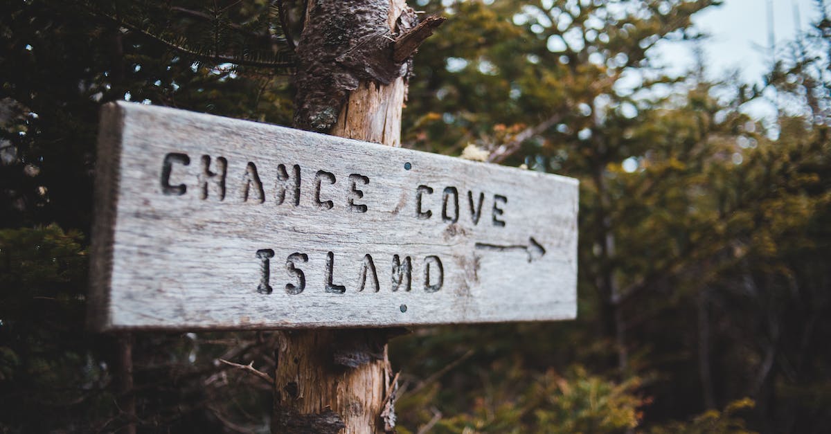 What techniques exist for increasing the chances of getting to a destination during widespread disruption? - Sign on tree trunks with arrow and Chance Cove Island text What techniques exist for increasing the chances of getting to a destination during widespread disruption? - Sign on tree trunks with arrow and Chance Cove Island text