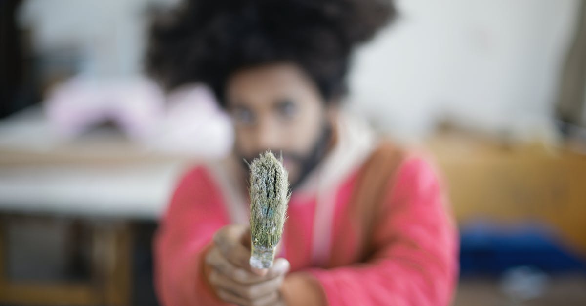 What to fill under occupation if you have quit your job [duplicate] - Unrecognizable young bearded ethnic craftsman pointing with paintbrush at camera sitting at table in modern creative workshop