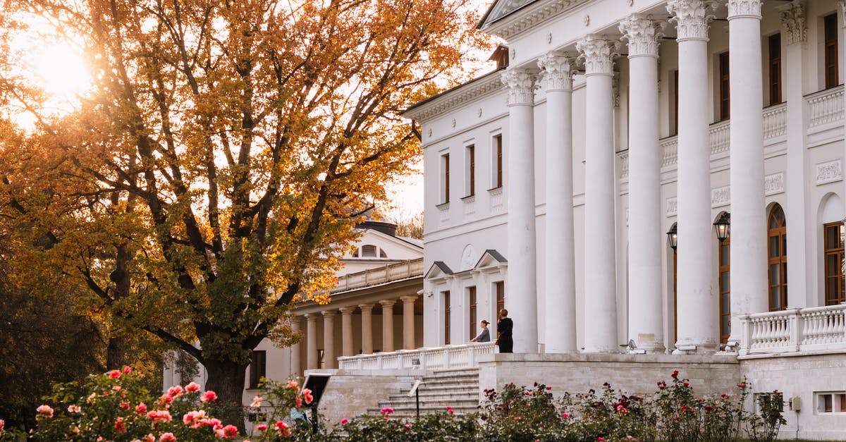 What types of plants are allowed through US customs? - The Patio in the Virginia State Capitol What types of plants are allowed through US customs? - The Patio in the Virginia State Capitol