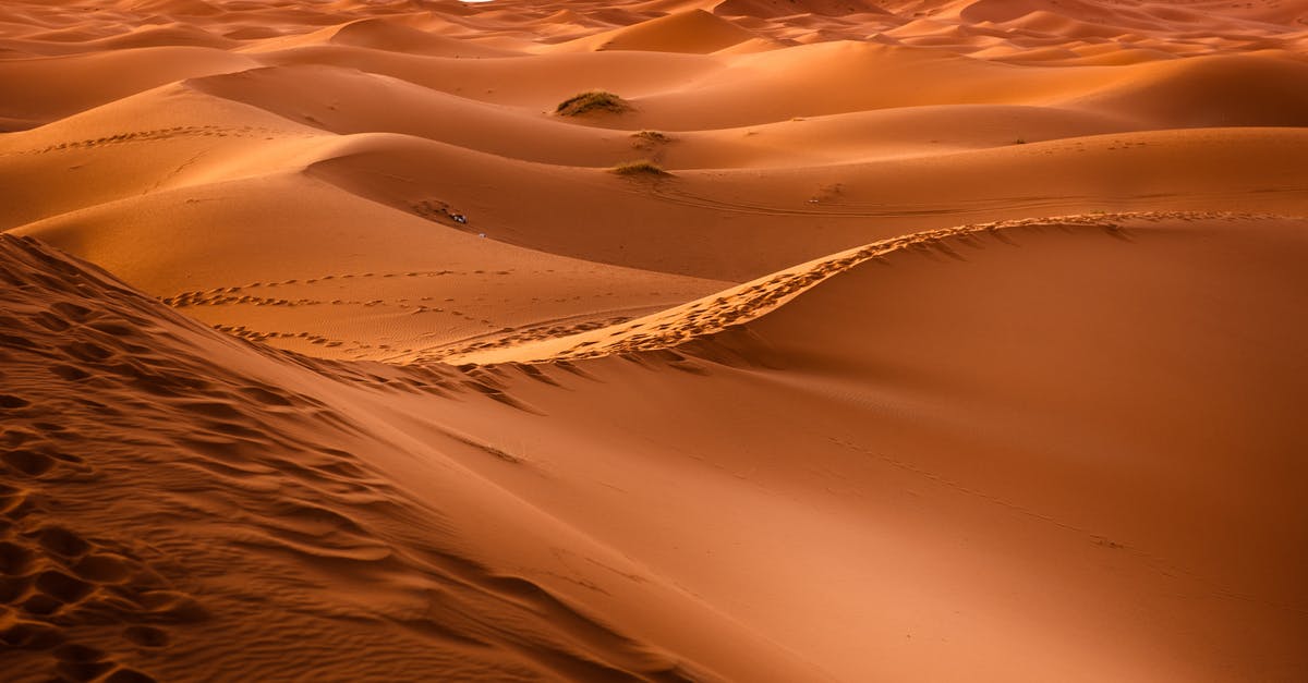 When are Morocco desert camel excursions available? - Brown Dessert When are Morocco desert camel excursions available? - Brown Dessert
