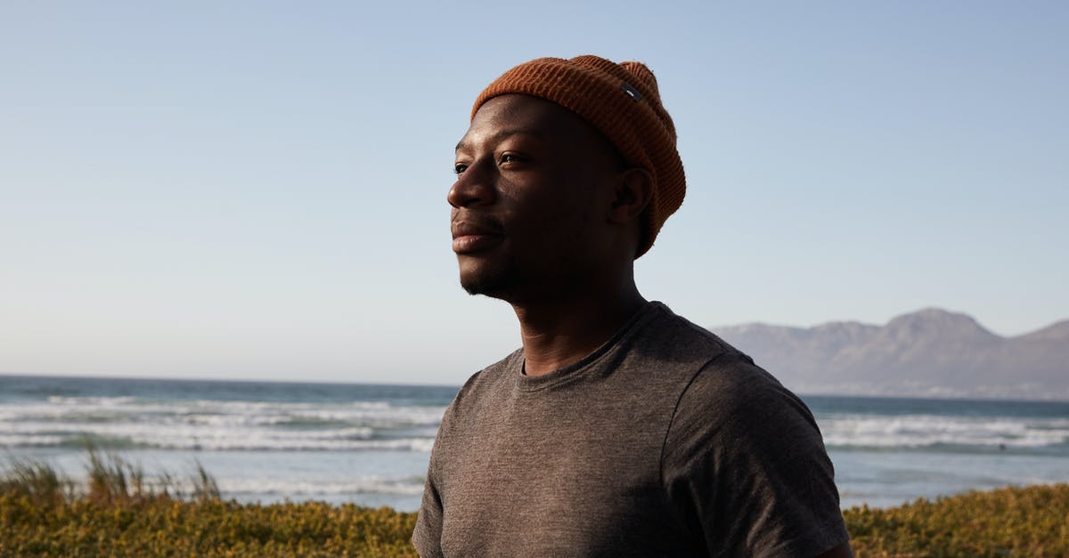 When entering Turkey, do border officials immediately see previous entries and exits when scanning the travel document? - Content African American male wearing hat and standing near cement border with grass against waving sea and blue sky in nature