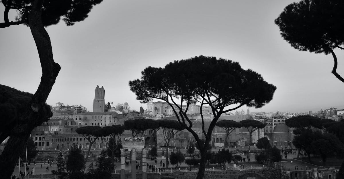 When will the Museum of Roman Civilization in Rome re-open? - Umbrella pines growing on old city street in daytime When will the Museum of Roman Civilization in Rome re-open? - Umbrella pines growing on old city street in daytime