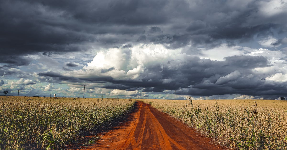 Where's the 'Skyline Trail Loop'? How does it differ from 'Skyline Trail'? - Dirt trail running along green agricultural plantations Where's the 'Skyline Trail Loop'? How does it differ from 'Skyline Trail'? - Dirt trail running along green agricultural plantations