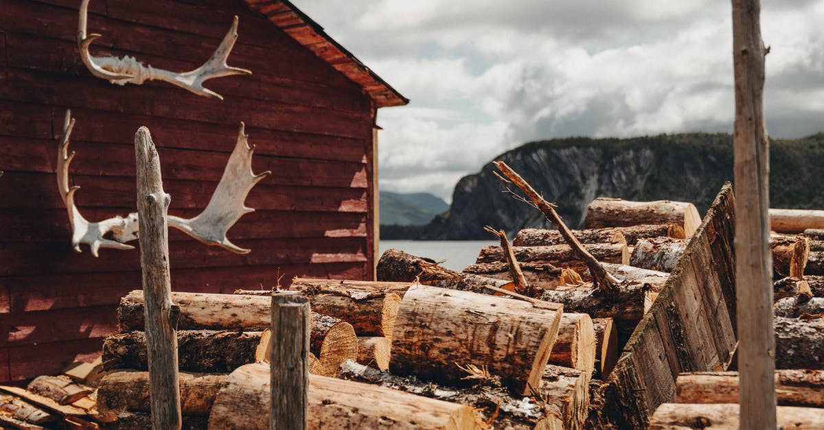 Where's this in Gros Morne National Park? - Chopped Wood in Front of Cabin with Moose Antlers in Gros Morne National Park, Canada Where's this in Gros Morne National Park? - Chopped Wood in Front of Cabin with Moose Antlers in Gros Morne National Park, Canada