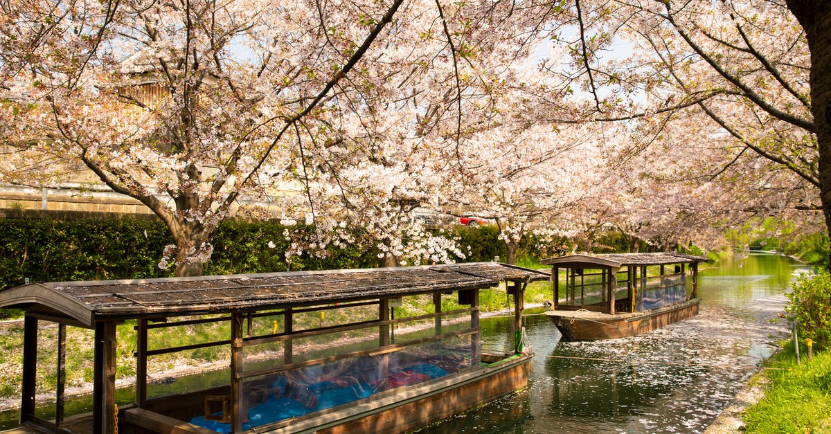 Where's this mere with board walk and cherry blossoms in Japan? - Old wooden boats sailing on water channel near blooming trees Where's this mere with board walk and cherry blossoms in Japan? - Old wooden boats sailing on water channel near blooming trees