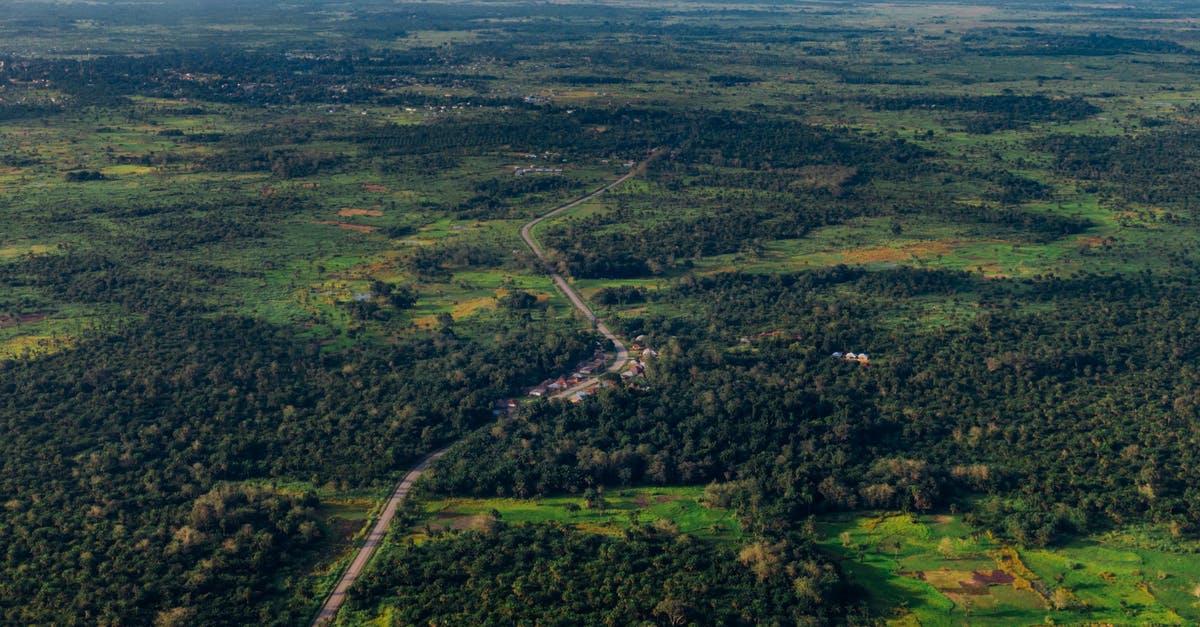 Where's this swanky house and vineyard near a mountain? - Aerial View of Vast Lush Land With Houses Built Along The Side Of A Road Where's this swanky house and vineyard near a mountain? - Aerial View of Vast Lush Land With Houses Built Along The Side Of A Road