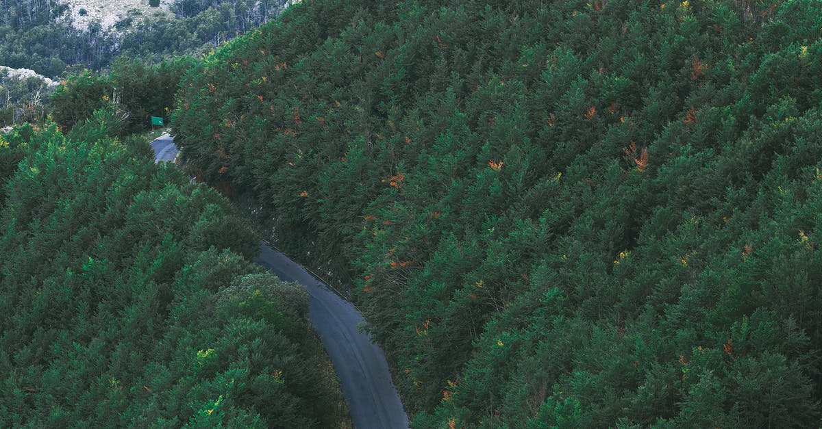 Where's this verdant ridge? - Narrow roadway among lush green trees growing in mountainous valley Where's this verdant ridge? - Narrow roadway among lush green trees growing in mountainous valley