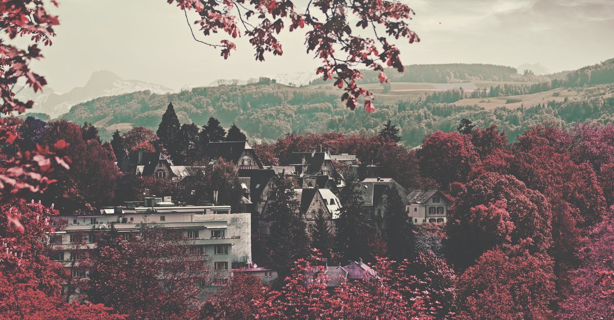 Where are these two hills with fall foliage in Saguenay QC? - City Buildings Surrounded Maroon Leaved Forest during Daytime Where are these two hills with fall foliage in Saguenay QC? - City Buildings Surrounded Maroon Leaved Forest during Daytime