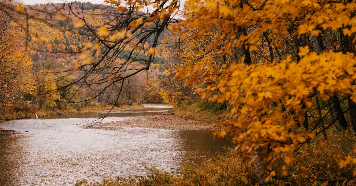 Where are these two hills with fall foliage in Saguenay QC? - Picturesque autumn scenery of forest with yellow forest and calm shallow river on hilly terrain Where are these two hills with fall foliage in Saguenay QC? - Picturesque autumn scenery of forest with yellow forest and calm shallow river on hilly terrain