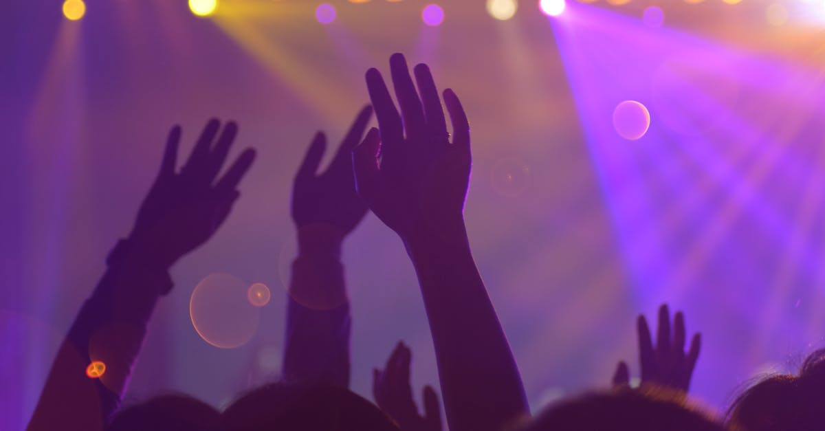Where can I attend a fight night club in Manhattan? - Group of People In A Concert Where can I attend a fight night club in Manhattan? - Group of People In A Concert