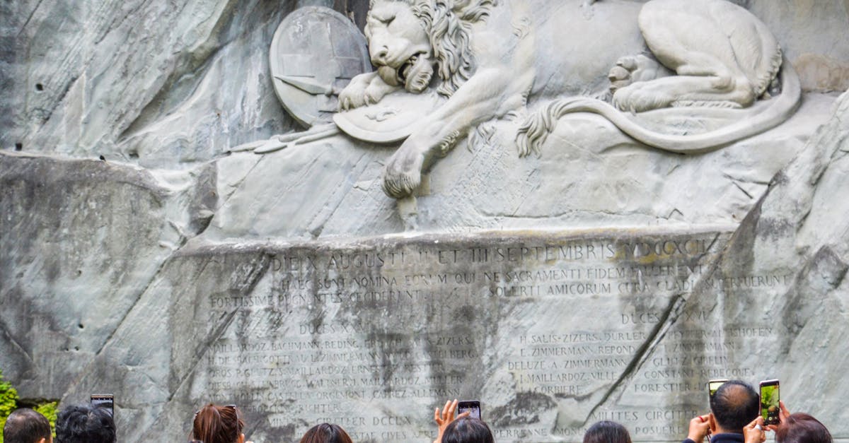 Where can I exchange Swiss Franc coins outside of Switzerland - Tourists standing near Lion Monument in Switzerland Where can I exchange Swiss Franc coins outside of Switzerland - Tourists standing near Lion Monument in Switzerland