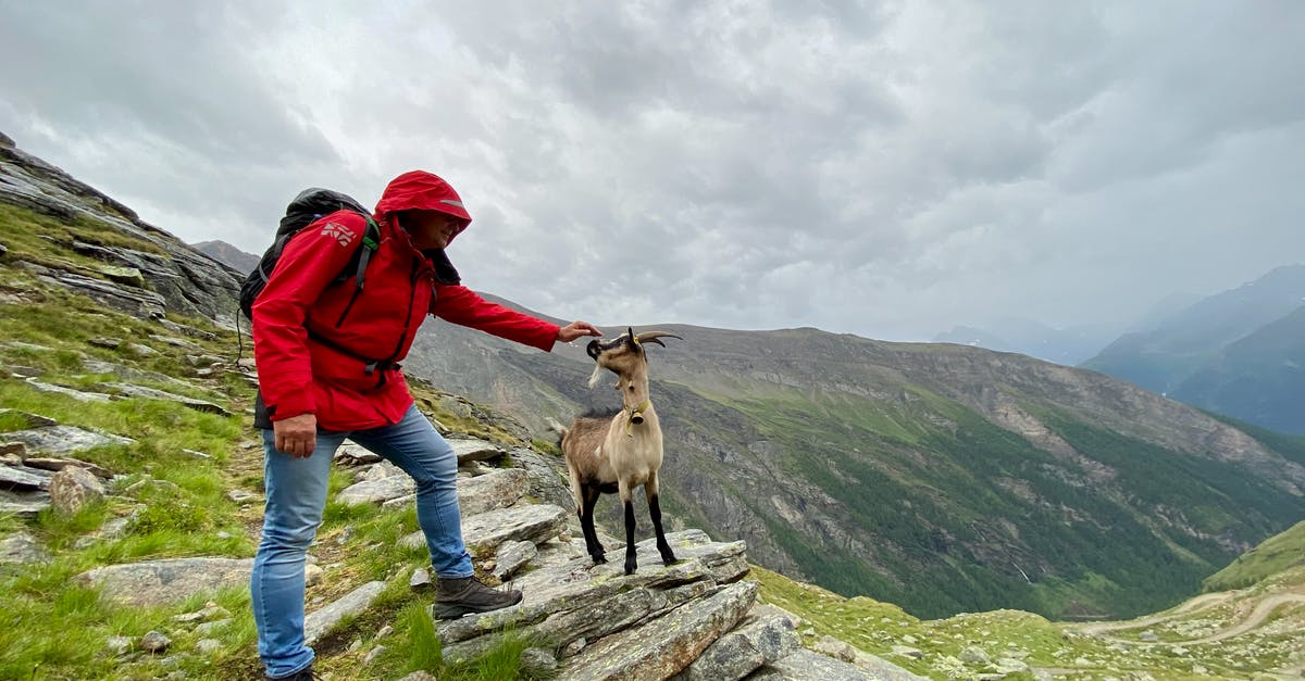 Where can I find hiking maps for the Alps (Grenoble area)? - Man in Red Jacket Touching a Goat Where can I find hiking maps for the Alps (Grenoble area)? - Man in Red Jacket Touching a Goat