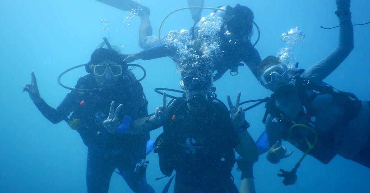 Where can I get a scuba diver's license in Ecuador? - Person in Black Wetsuit Under Water Where can I get a scuba diver's license in Ecuador? - Person in Black Wetsuit Under Water