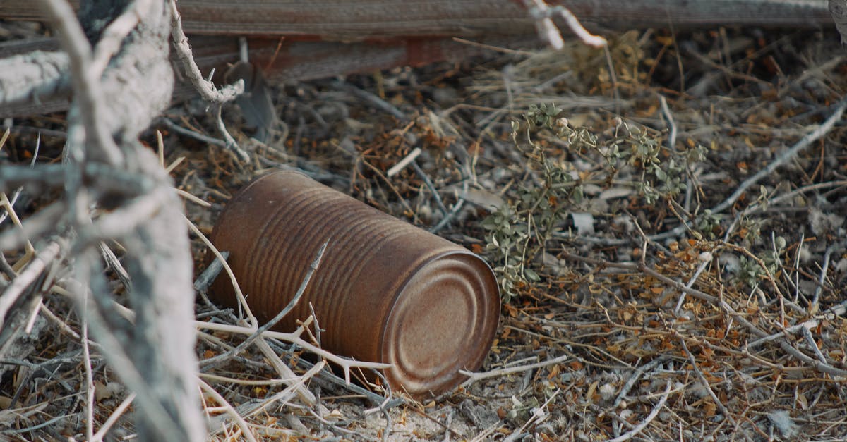 Where can I get alerts for earthquakes in California? - A Rusty Can on the Dry Grass Ground Where can I get alerts for earthquakes in California? - A Rusty Can on the Dry Grass Ground