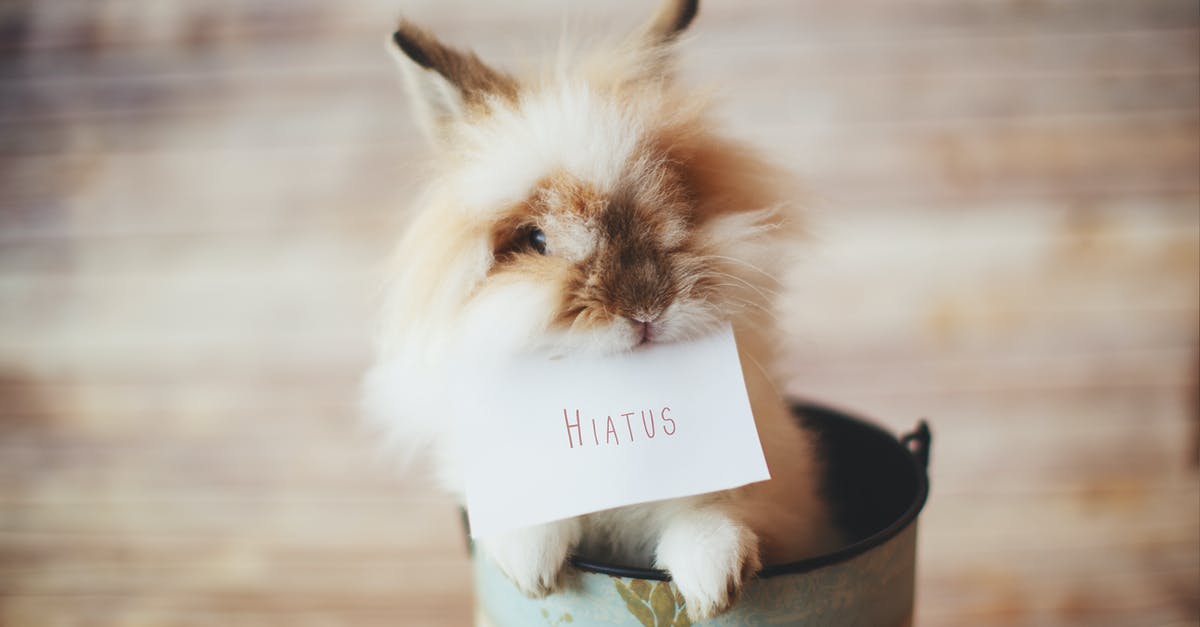 Where can I get information on freighter travel? - Selective Focus Photo of Guinea Pig Holding Card Where can I get information on freighter travel? - Selective Focus Photo of Guinea Pig Holding Card