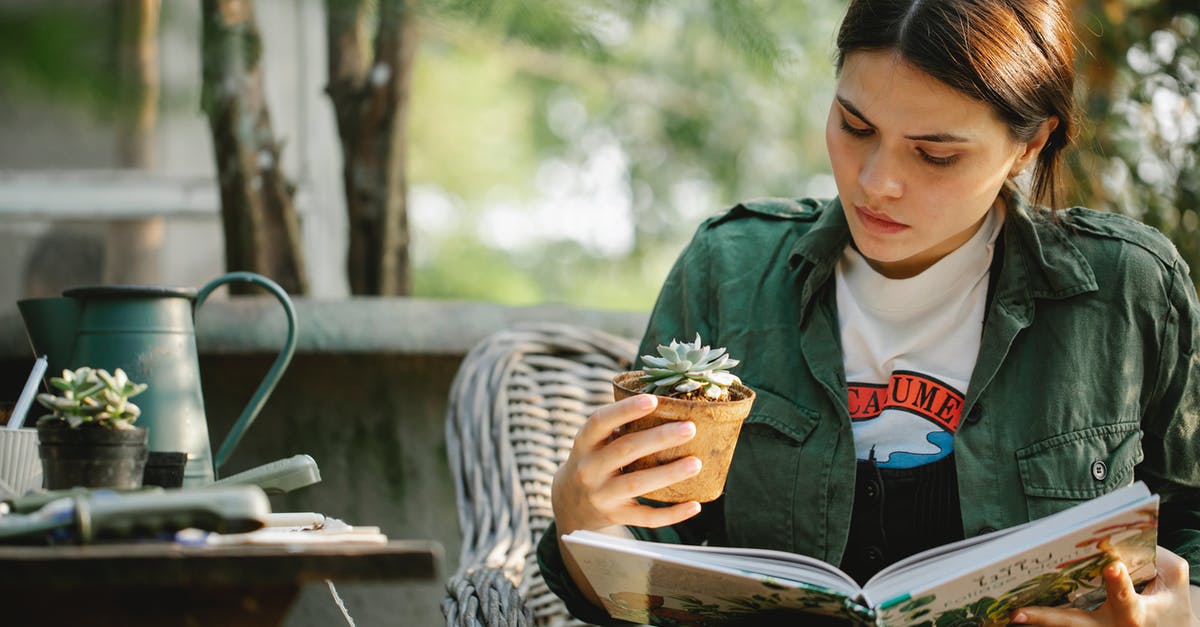 Where can I learn about the earthquake and reconstruction of Christchurch? - Attentive young female grower with succulent plant in pot reading textbook while sitting in wicker armchair in garden Where can I learn about the earthquake and reconstruction of Christchurch? - Attentive young female grower with succulent plant in pot reading textbook while sitting in wicker armchair in garden