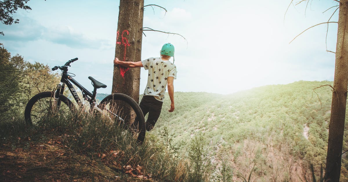 Where can I rent a mountain bike in Puerto Vallarta, Mexico? - Man Holding Tree Enjoying the View Mountain Where can I rent a mountain bike in Puerto Vallarta, Mexico? - Man Holding Tree Enjoying the View Mountain