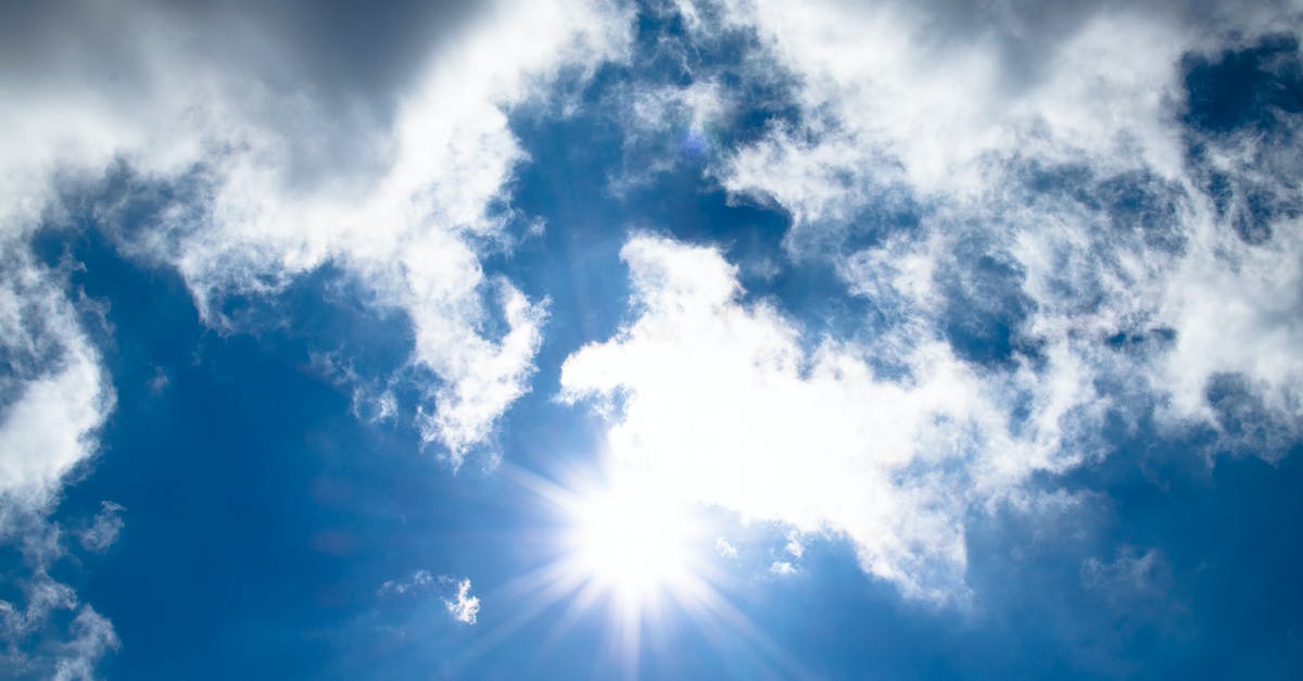 Where can I view Timatic information for a given day in the past? - Sunlight With White Clouds Where can I view Timatic information for a given day in the past? - Sunlight With White Clouds