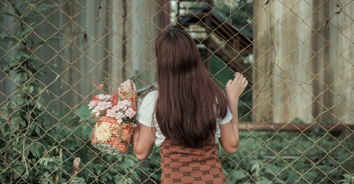Where can one find Plus ATMs in rural Taiwan? - Back view of young faceless female standing near fence and trying to find way through it Where can one find Plus ATMs in rural Taiwan? - Back view of young faceless female standing near fence and trying to find way through it