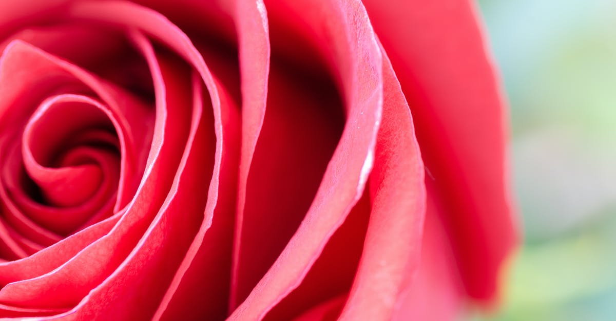 Where could I stay for a single night stopover in Singapore to visit the botanical gardens? [closed] - Red Rose